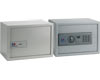 SecureLine Secure Safe
