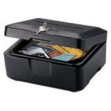 SentrySafe Security Box - 500