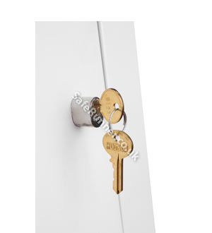 Phoenix Extra Standard Pin Key (Cylinder)