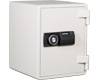  DES-031D (Datasafe) 
