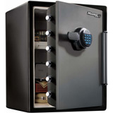 Master Lock LFW205FYC Fire Safe